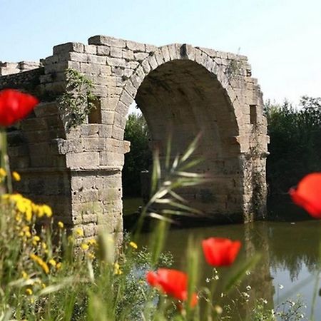 Refuge Des Lys Villa Gallargues-le-Montueux Dış mekan fotoğraf