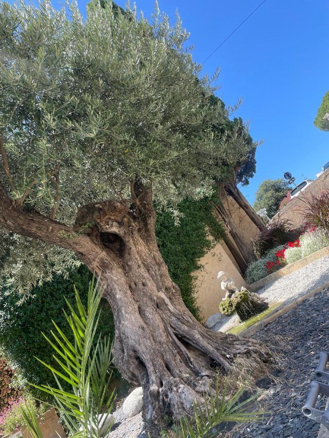 Refuge Des Lys Villa Gallargues-le-Montueux Dış mekan fotoğraf