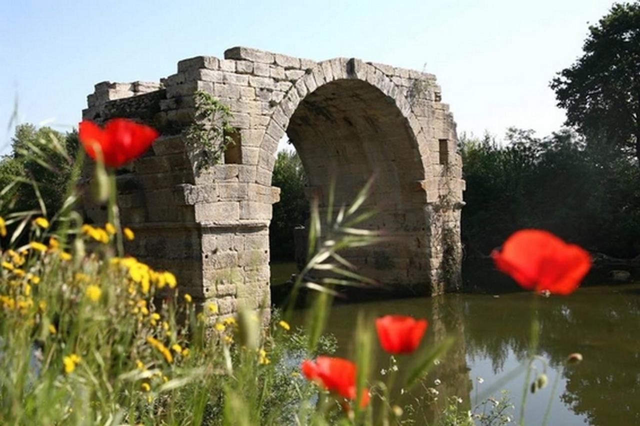 Refuge Des Lys Villa Gallargues-le-Montueux Dış mekan fotoğraf